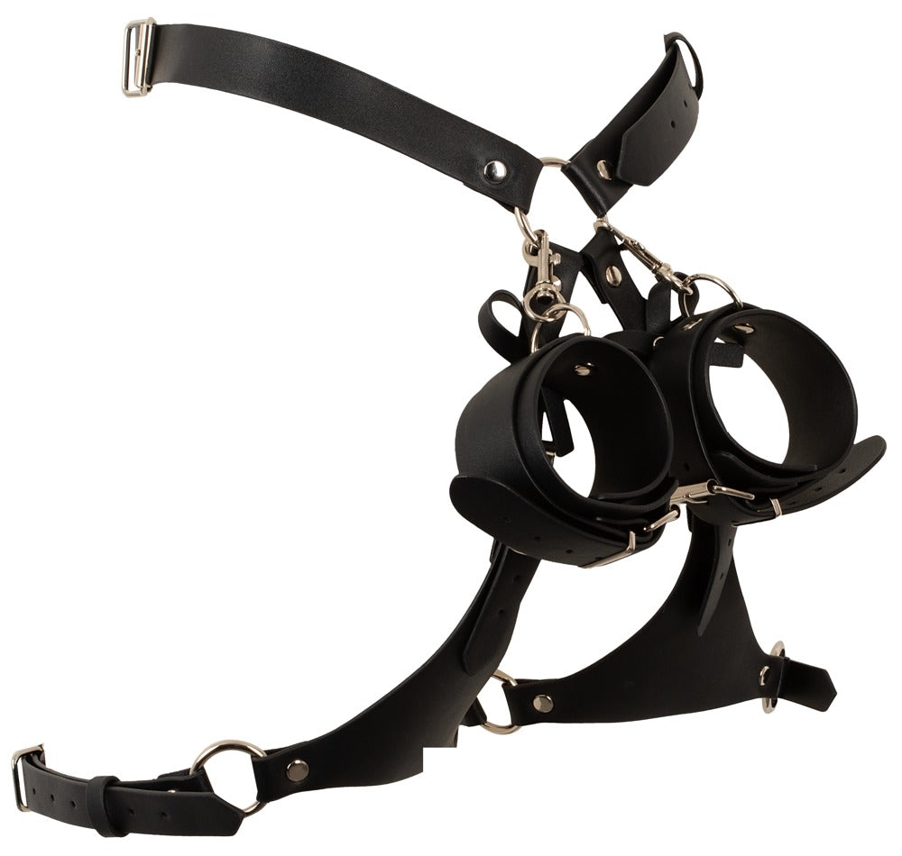 Harness con Manettte