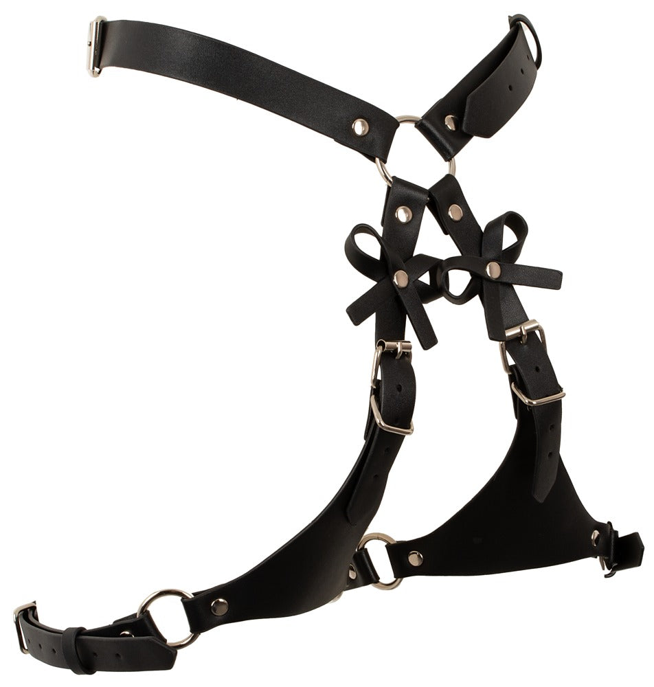 Harness con Manettte