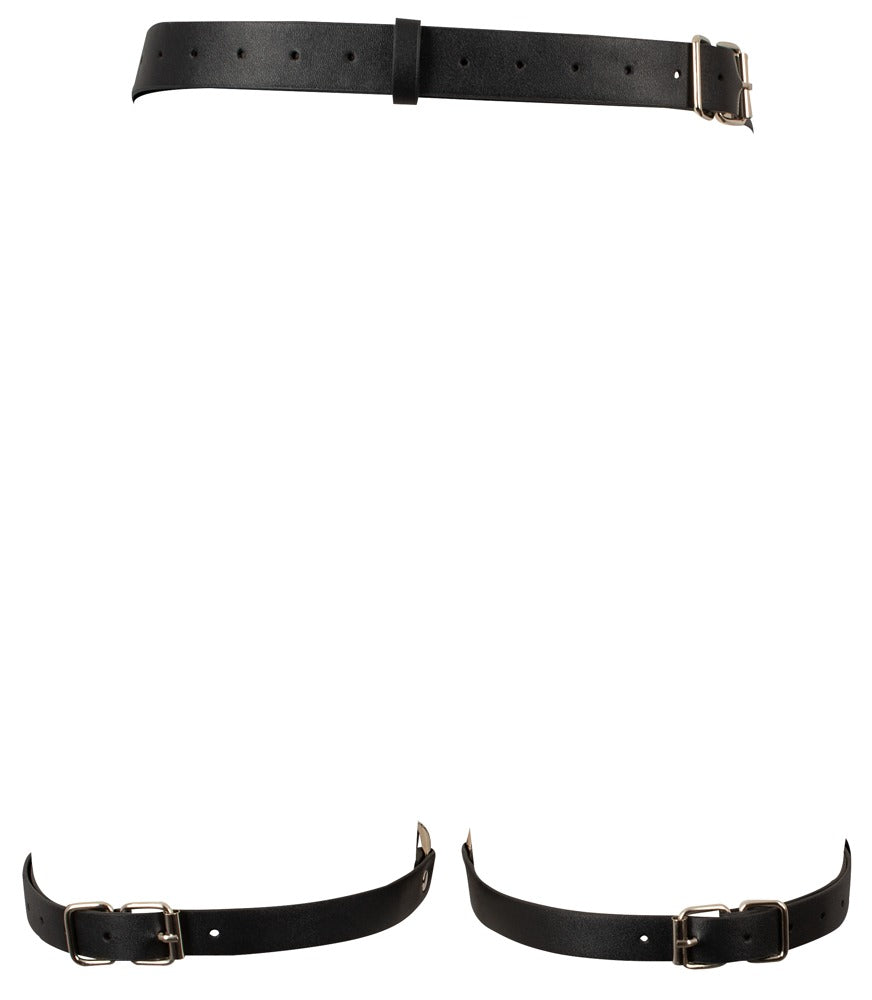 Harness con Manettte