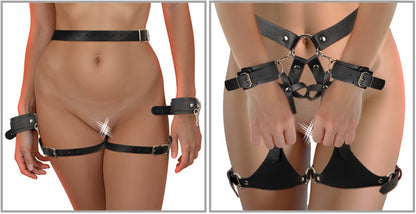 Harness con Manettte