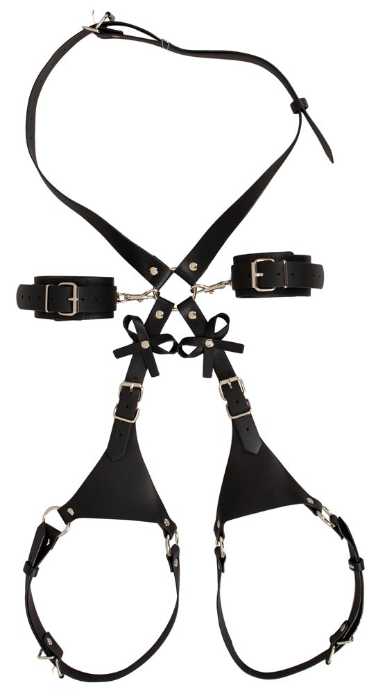 Harness con Manettte