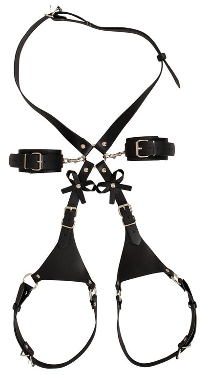 Harness con Manettte