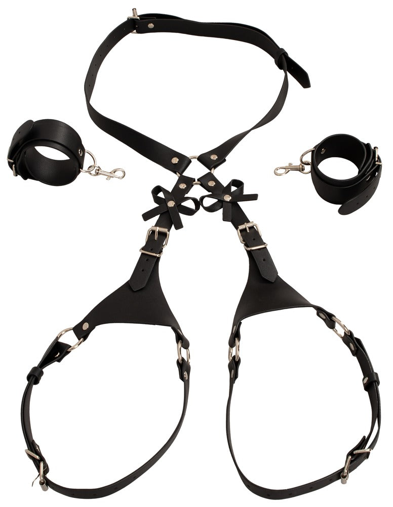 Harness con Manettte