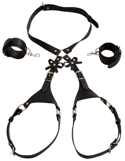 Harness con Manettte