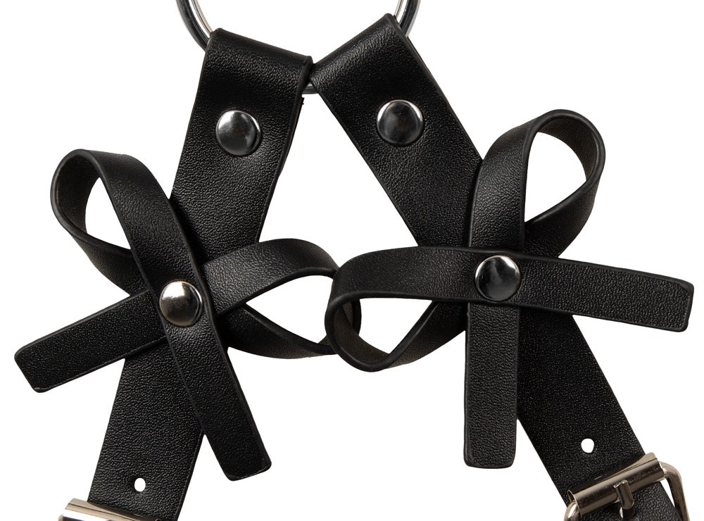 Harness con Manettte