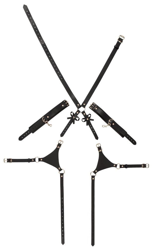 Harness con Manettte