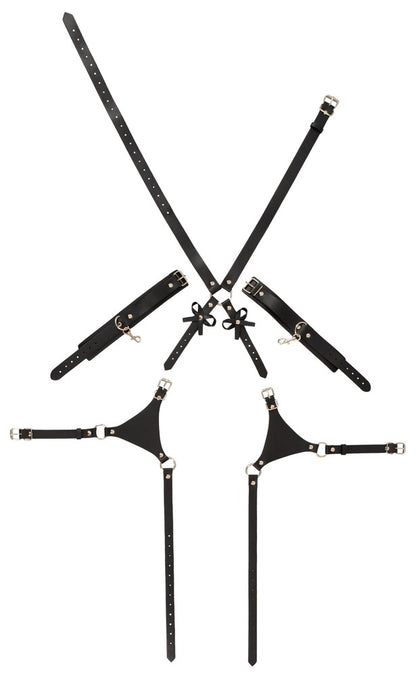 Harness con Manettte