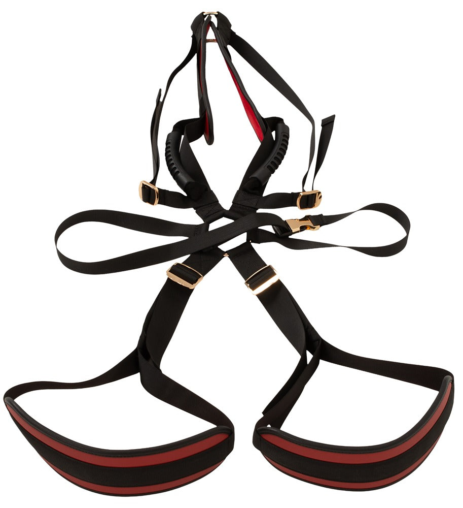 Body Swing