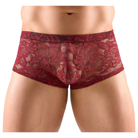 Boxer in Pizzo Bordò