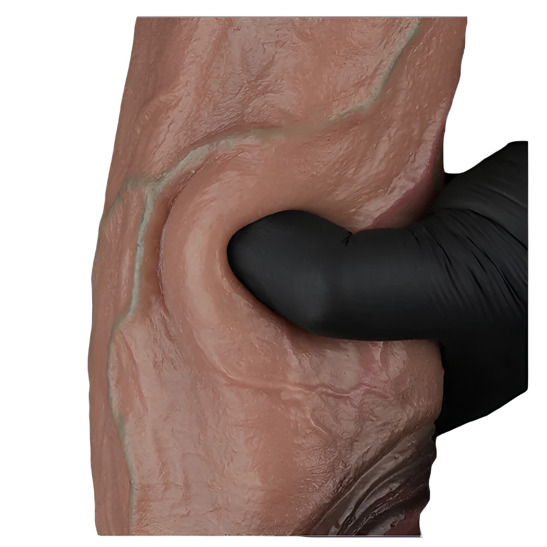 XXL Titano