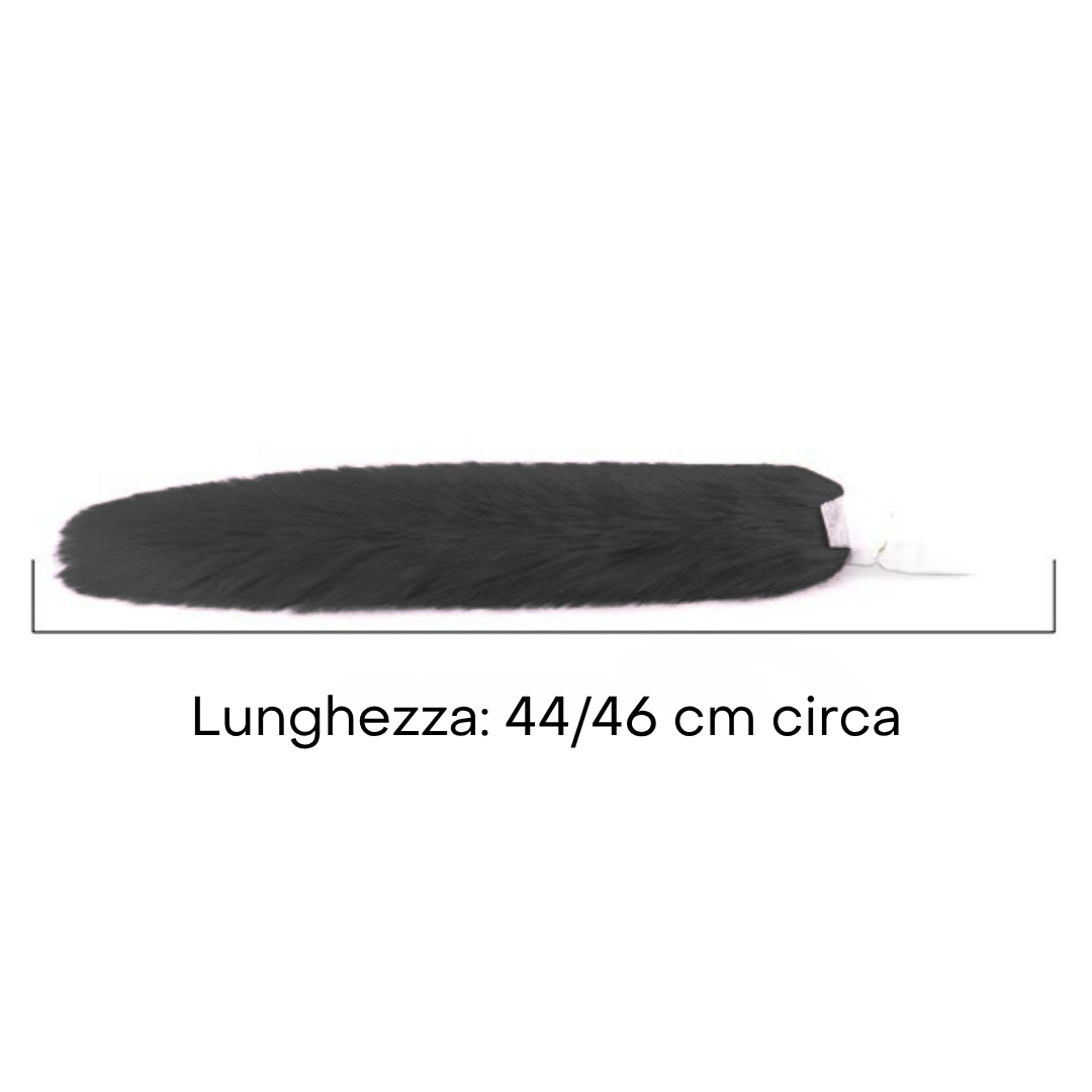 Coda di Gatta