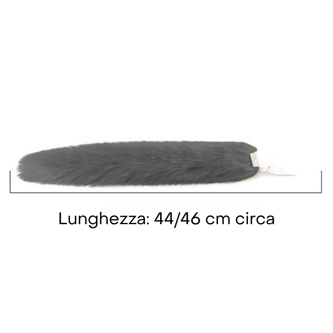 Coda di Gatta