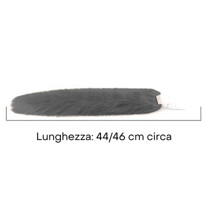 Coda di Gatta