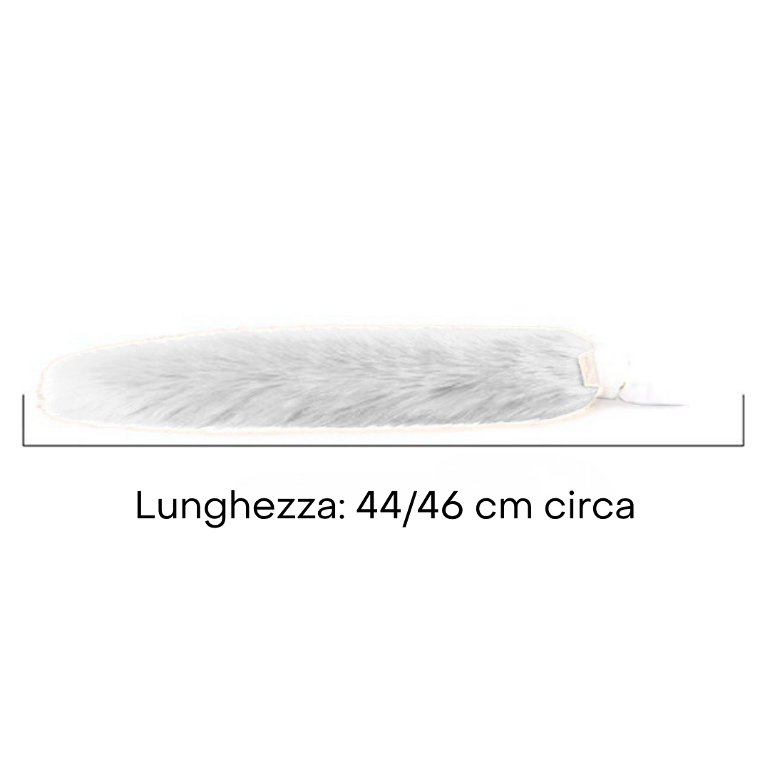 Coda di Gatta