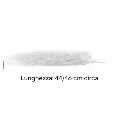 Coda di Gatta